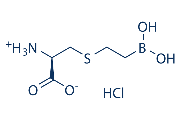BEC HCl Structure